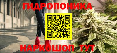 spice Кунгур
