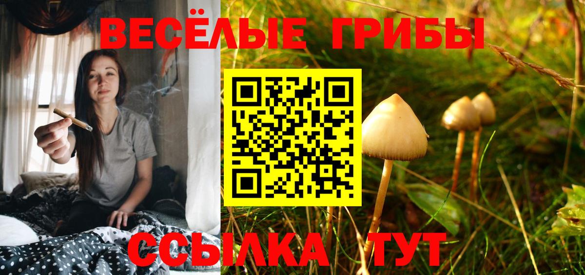купить  цена  Галлюциногенные грибы мухоморы  Вход с VPN  Гуково 